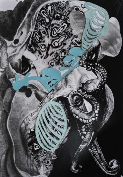 Collage study for Octocorpus